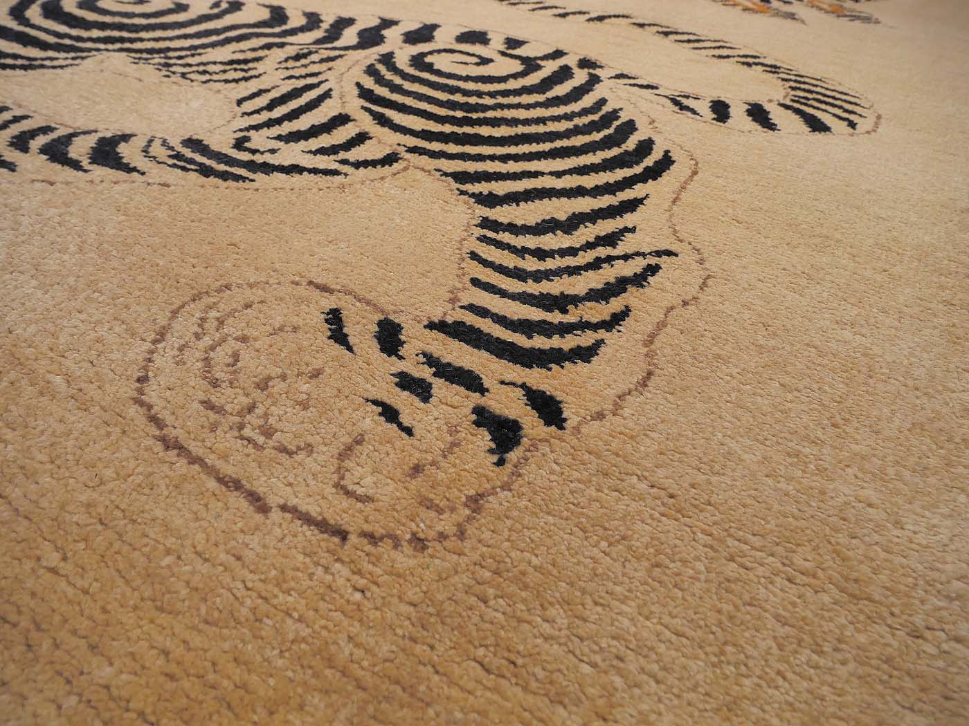 Snow Lions - Image 6