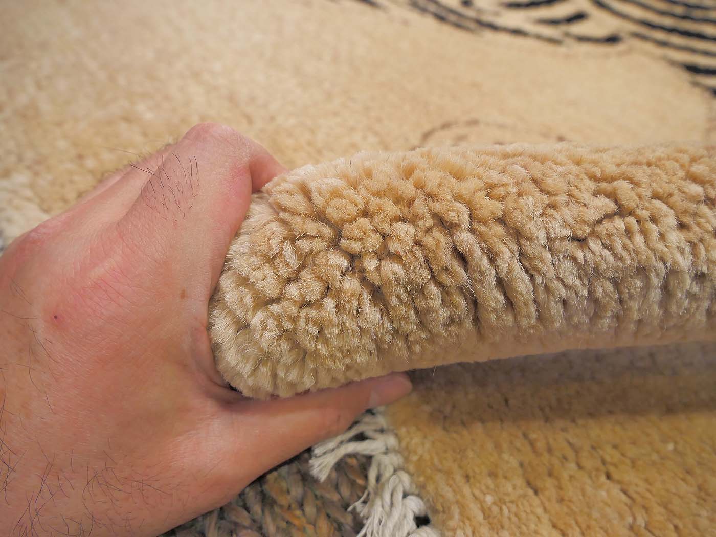 Snow Lions - Image 7