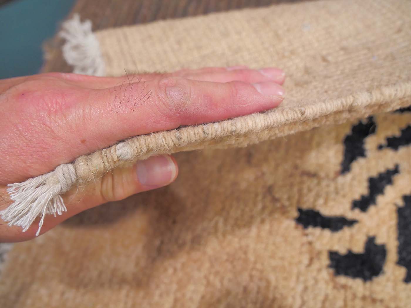 Snow Lions - Image 8