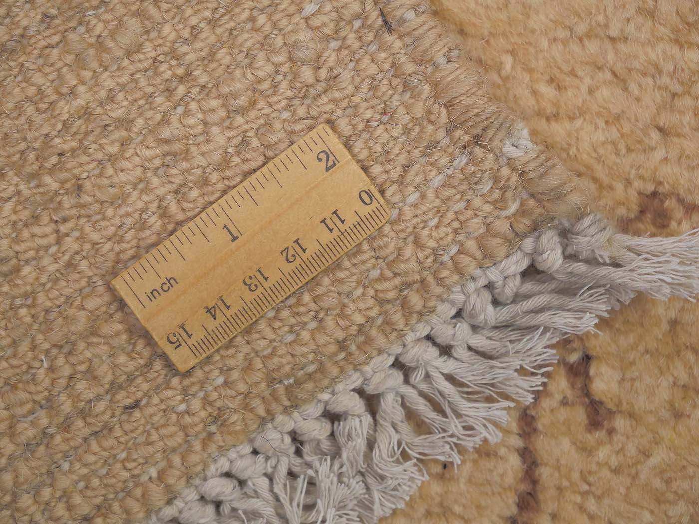 Snow Lions - Image 9