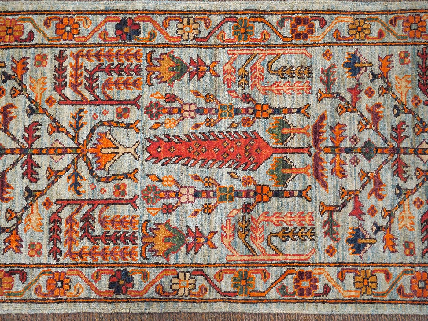 Cyprus Willow - Image 3