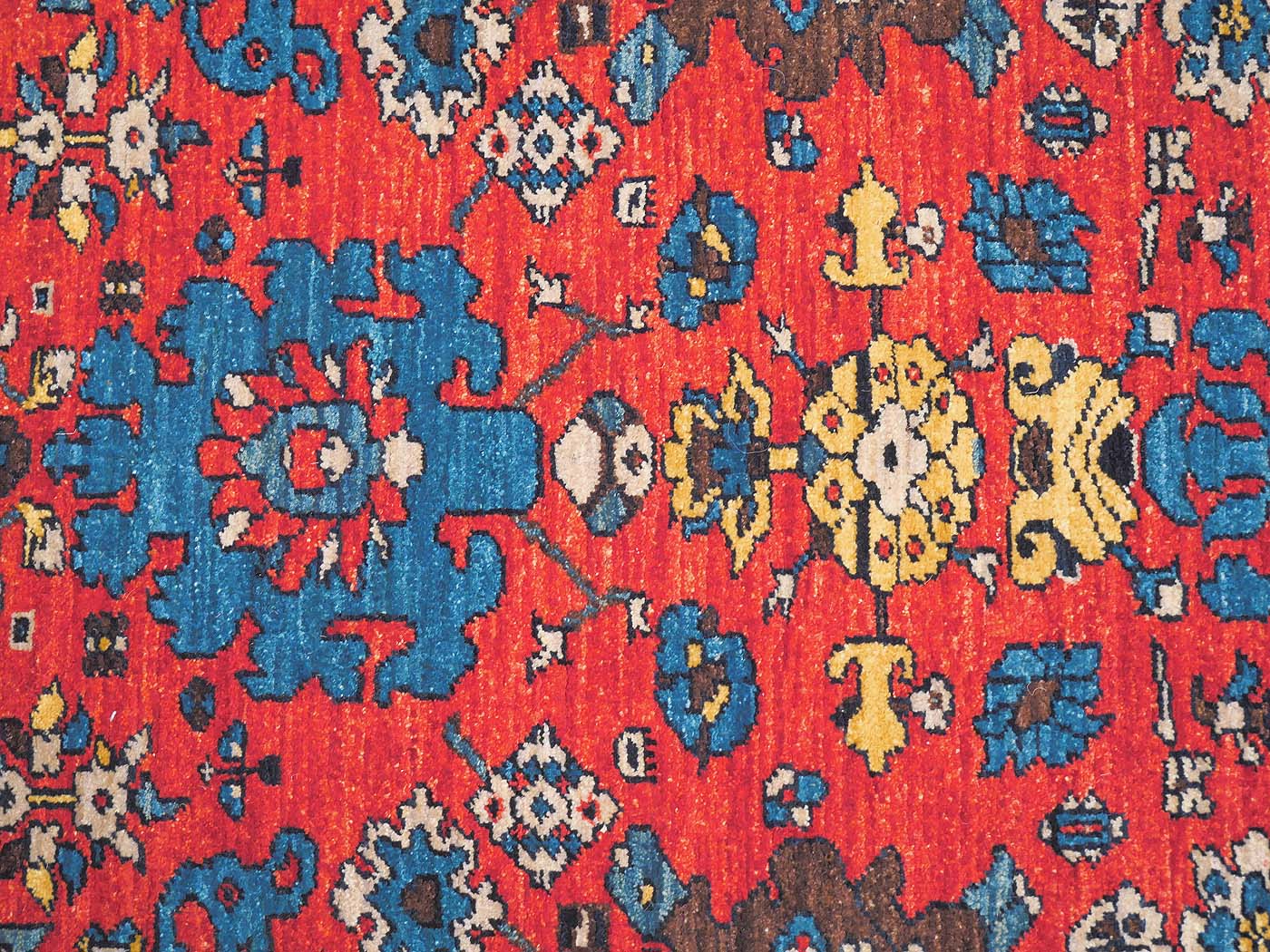 Azeri Runner - Image 5
