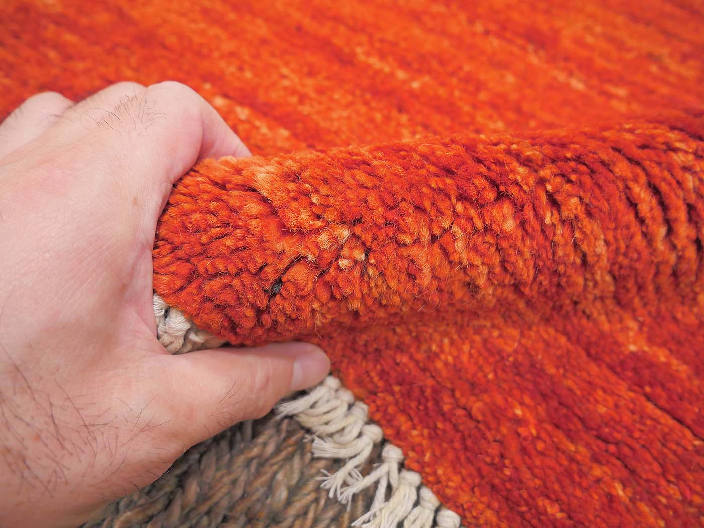 Foxy Fox - Image 6