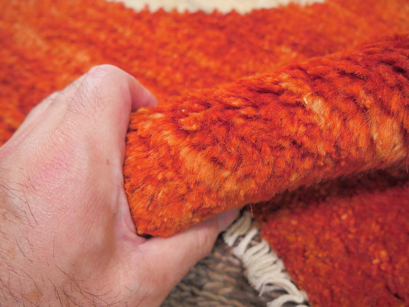 Foxy Fox - Image 7