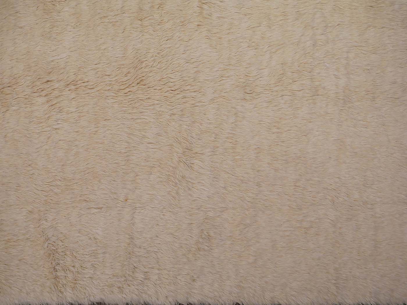 Shaggy - Image 3