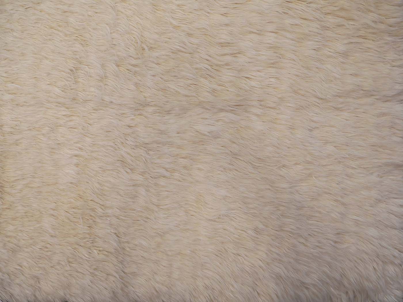 Shaggy - Image 4