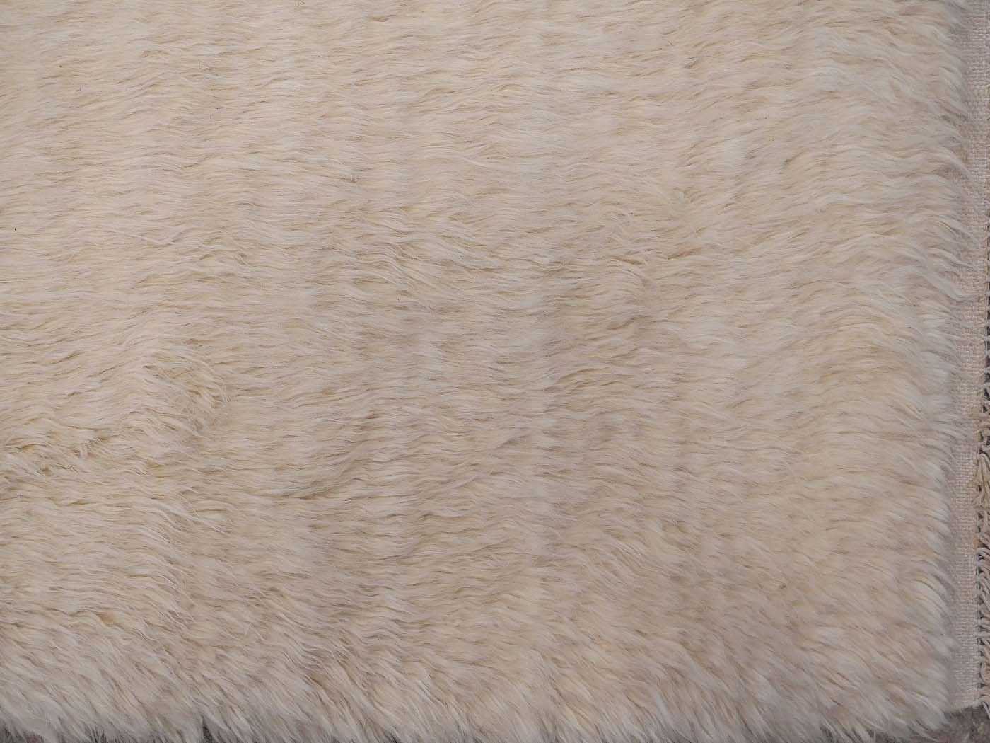 Shaggy - Image 4
