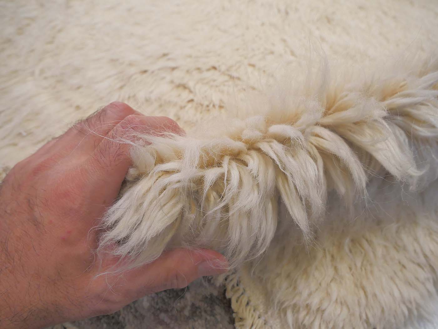 Shaggy - Image 7