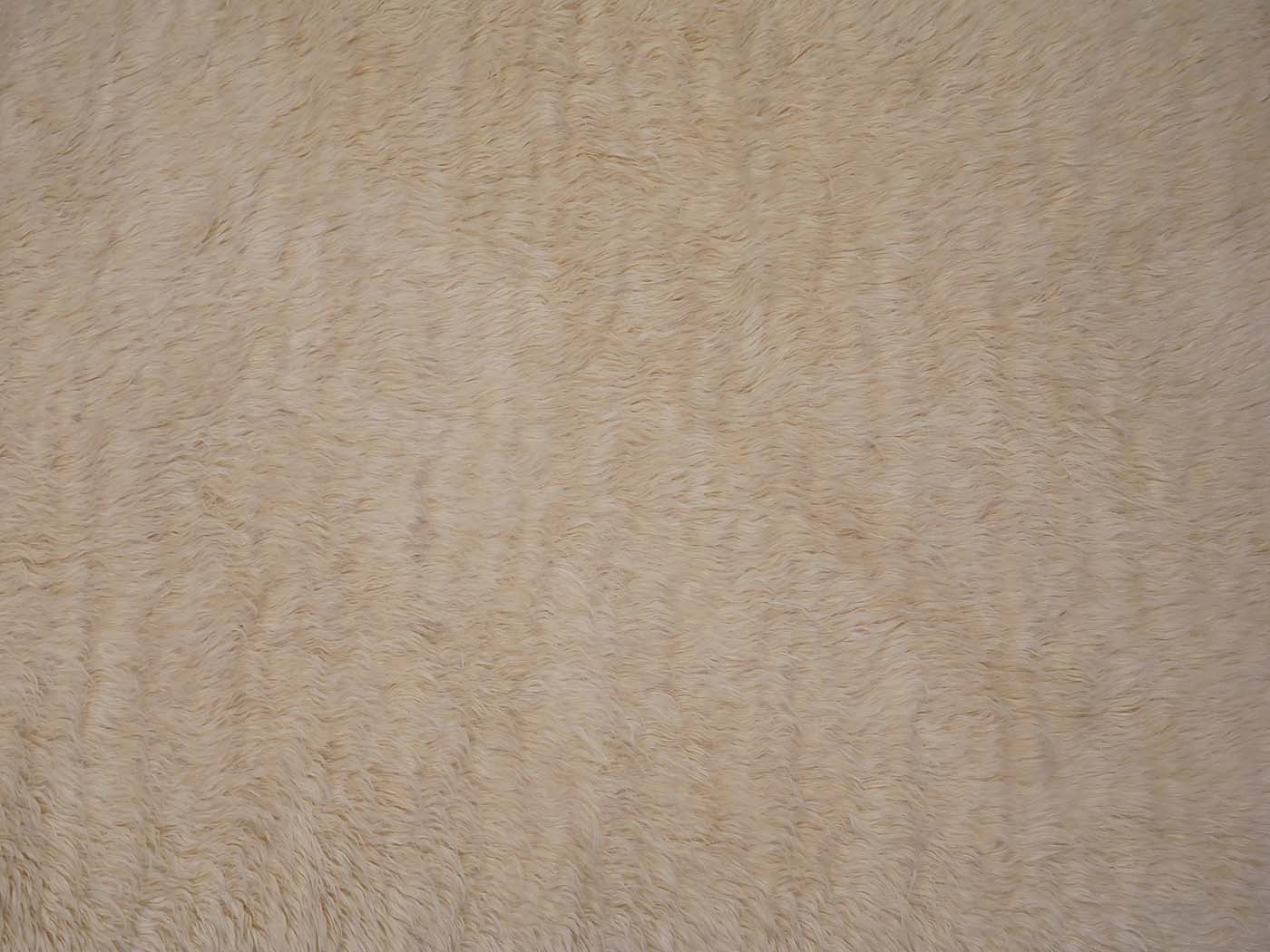 Shaggy - Image 3